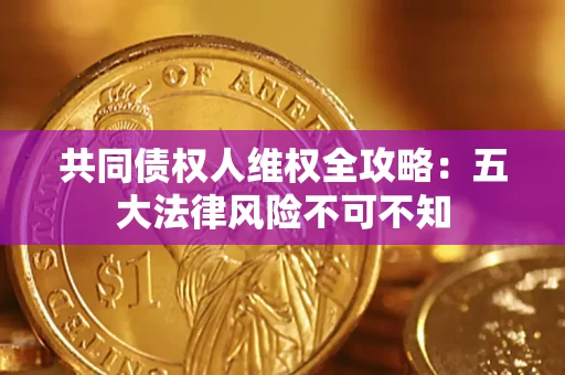 武汉共同债权人维权全攻略：五大法律风险不可不知