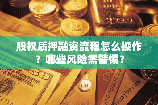 武汉股权质押融资流程怎么操作？哪些风险需警惕？