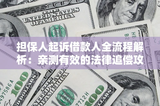 武汉担保人起诉借款人全流程解析：亲测有效的法律追偿攻略