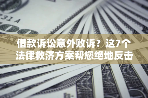 武汉借款诉讼意外败诉？这7个法律救济方案帮您绝地反击！