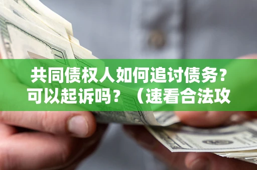 武汉共同债权人如何追讨债务？可以起诉吗？（速看合法攻略）