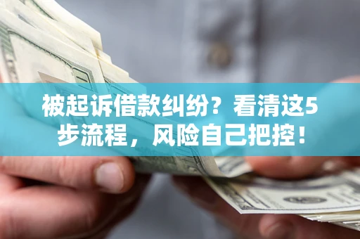 武汉被起诉借款纠纷？看清这5步流程，风险自己把控！