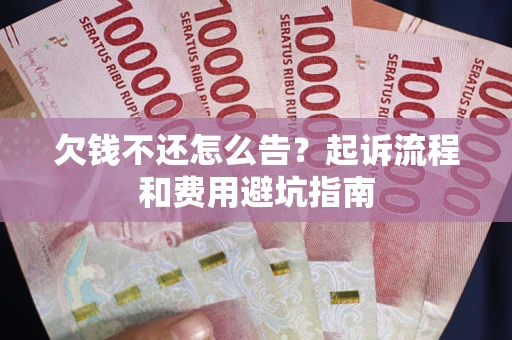 武汉欠钱不还怎么告？起诉流程和费用避坑指南
