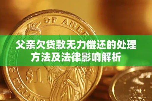 武汉父亲欠贷款无力偿还的处理方法及法律影响解析