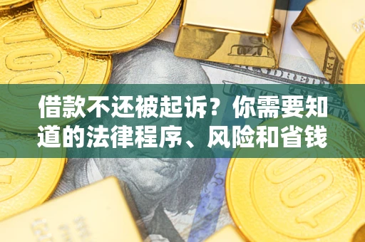 武汉借款不还被起诉？你需要知道的法律程序、风险和省钱技巧